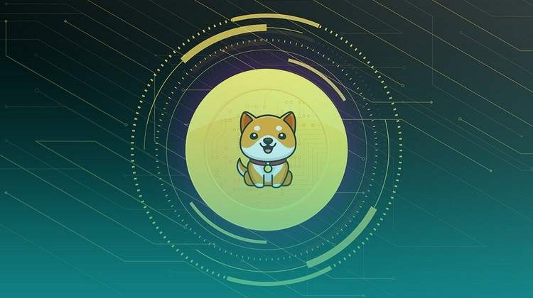 بیبی دوج را از کجا بخریم؟