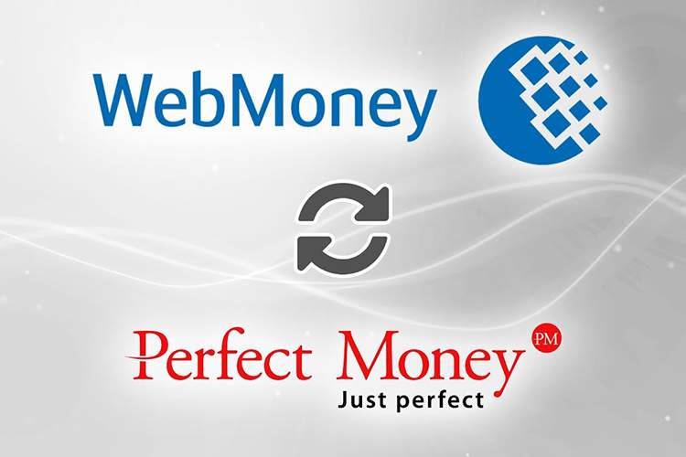 تفاوت وب مانی و پرفکت مانی